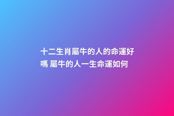 十二生肖屬牛的人的命運好嗎 屬牛的人一生命運如何-第1張-觀點-玄機派